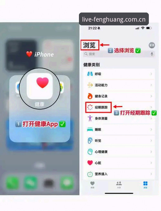 FH凤凰体育安卓版功能详解：为什么多数人升级失败栽在同一个环节？